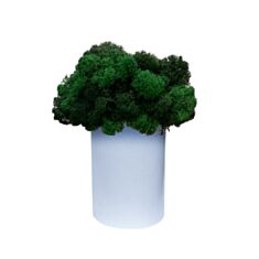 Стакан Cute длинный с мхом голубой - фото