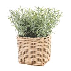 Растение декоративное Art-Pol 146400 17*15*15 см - фото