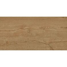 Керамограніт TEO Ceramics Rio Gold F P Rec Mat 60*120 см коричневий - фото