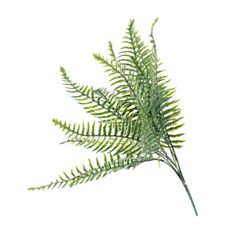 Искусственный папоротник Elisey 097FW 44 см - фото