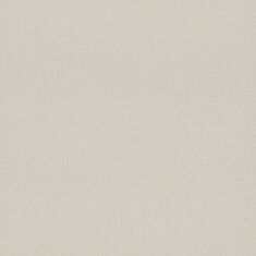 Шпалери вінілові Rasch En suite 545906 - фото