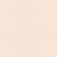 Обои виниловые Rasch Florentine 234558 - фото