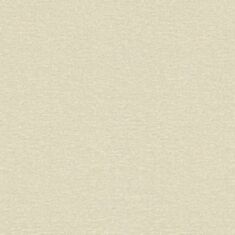 Шпалери вінілові Rasch Maximum 13 936216 темно-бежевий - фото