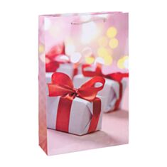 Пакет подарочный Decorize 5432-25 маленький подарок 25*37*8 см - фото