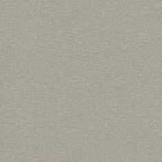 Шпалери вінілові Rasch Maximum 13 936230 сіро-коричневий - фото