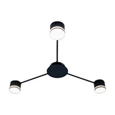 Люстра Esllse Gustav R 922107 Black - фото