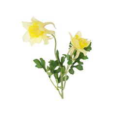 Декоративна гілка Аквілегія Bona Di 709-524 58 см жовта - фото