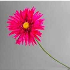 Штучна квітка Гербера 2298BL - фото