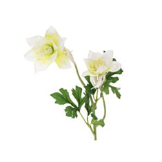 Декоративна гілка Аквілегія Bona Di 709-523 58 см кремово-біла - фото