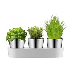 Набір горщиків з автополивом WMF Gourmet 0641306040 - фото