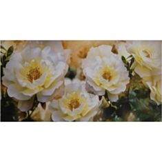 Фотошпалери Prestige №31 - фото