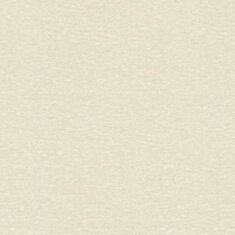 Шпалери вінілові Rasch Maximum 13 936209 бежевий - фото