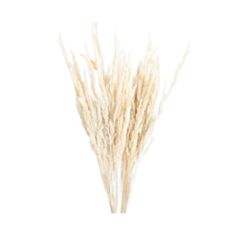 Сухоцвіт трава біла Decorize 7777 62 см - фото