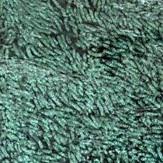 Килимок у ванну Dariana Шеніл 1450 GSM 50*80 см срібло-зелений - фото