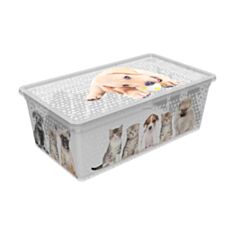 Коробка с крышкой Qutu Light Box Cats and dogs 5 л - фото