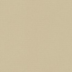 Обои виниловые Rasch Maximum 11 927436 - фото