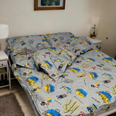 Комплект постельного белья SoundSleep Пес Патрон 94316223 160*220 см - фото