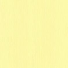 Шпалери вінілові Статус 9038-15 - фото