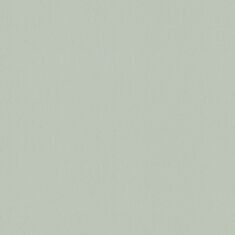 Шпалери вінілові Rasch Cher 954340 - фото