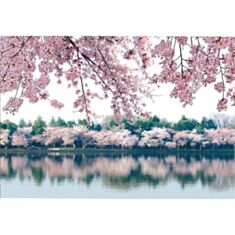 Фотошпалери Prestige Квітуча сакура №8 - фото