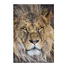 Фотошпалери Komar Лев 1-619 - фото