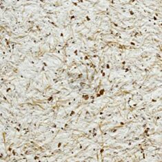 Жидкие обои Bioplast 976 - фото