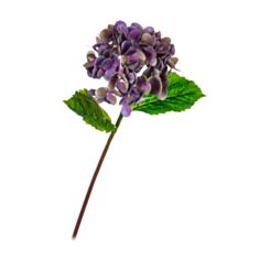 Искусственный цветок Elisey Гортензия Papillon 8100-036 синяя - фото