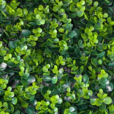 Декоративна панель зі штучної зелені Самшит Elisey 2017-001 50*50 см - фото