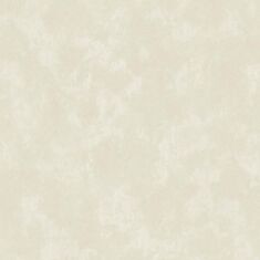 Шпалери вінілові Статус 411ST11 - фото