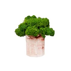 Кашпо мини круг Cute коричневый мрамор - фото