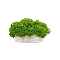 Кашпо овал з мохом Cute сірий мармур - фото