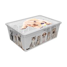 Коробка с крышкой Qutu Light Box Cats and dogs 10 л - фото