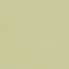 Шпалери вінілові Rasch b.b.home passion 479461 - фото