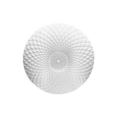 Світильник світлодіодний Feron LED AL5250 100W - фото